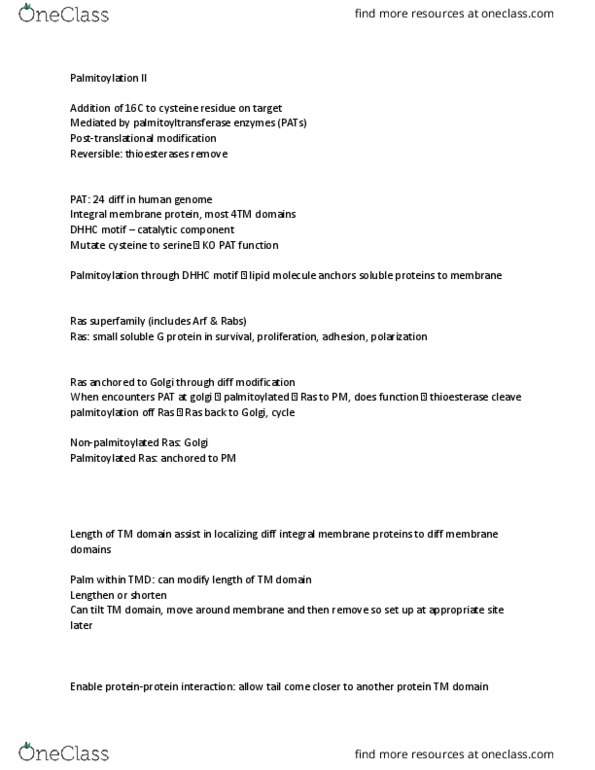 ANAT 565 Lecture Notes - Lecture 8: Proteasome, Lysine, Myc thumbnail