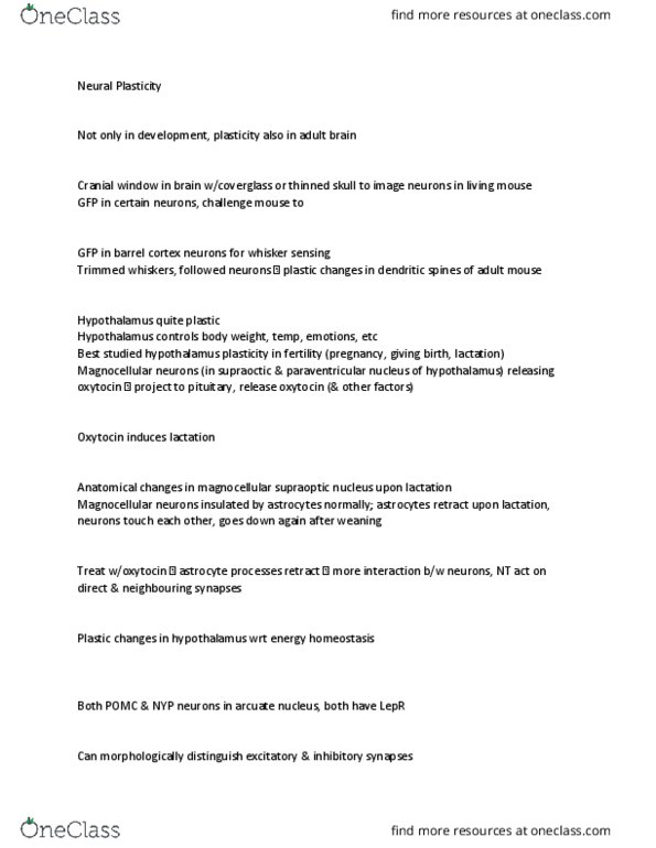 ANAT 322 Lecture Notes - Lecture 6: Bromodeoxyuridine, Antibody, Neuroglia thumbnail