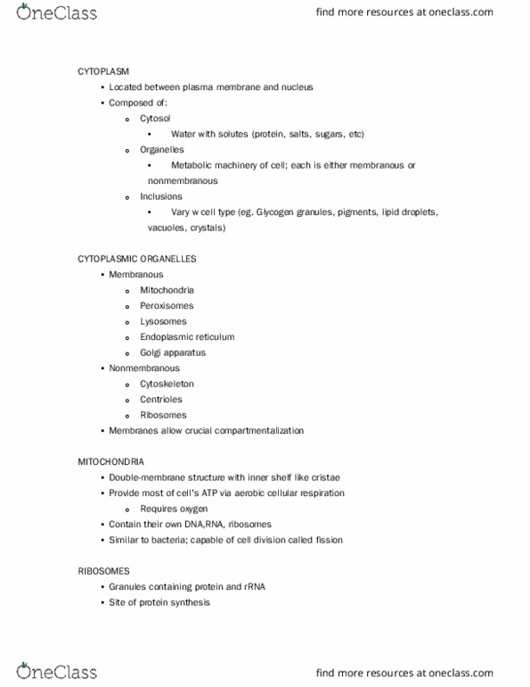 BIOL 243 Lecture Notes - Lecture 4: Centrosome, Skeletal Muscle, Nuclear Lamina thumbnail