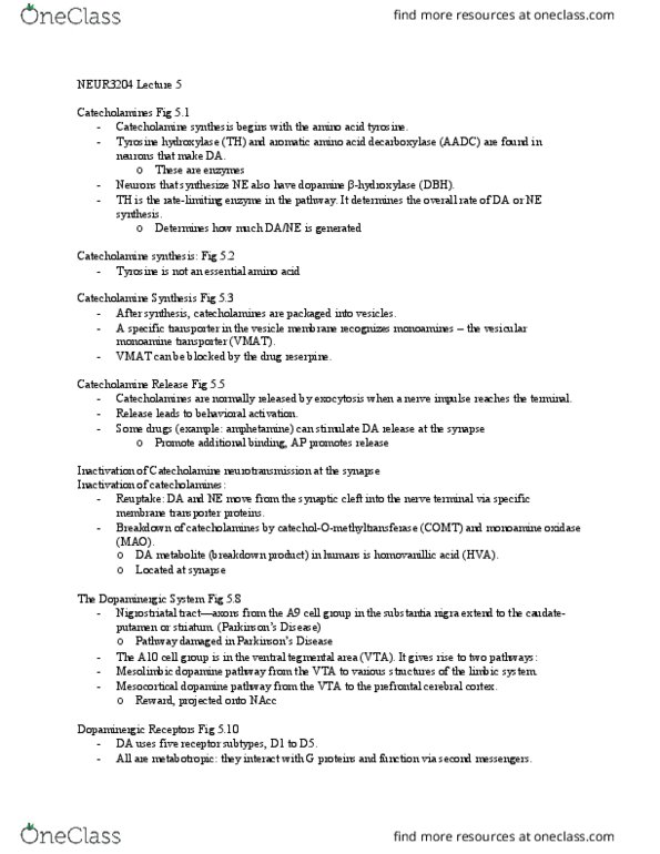 NEUR 3204 Lecture Notes - Lecture 5: Botulinum Toxin, Muscarine, Fluoxetine thumbnail