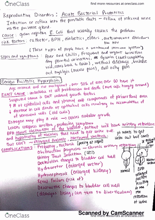 NURS2080 Lecture 29: Patho- Sexual Reproductive Disorders thumbnail