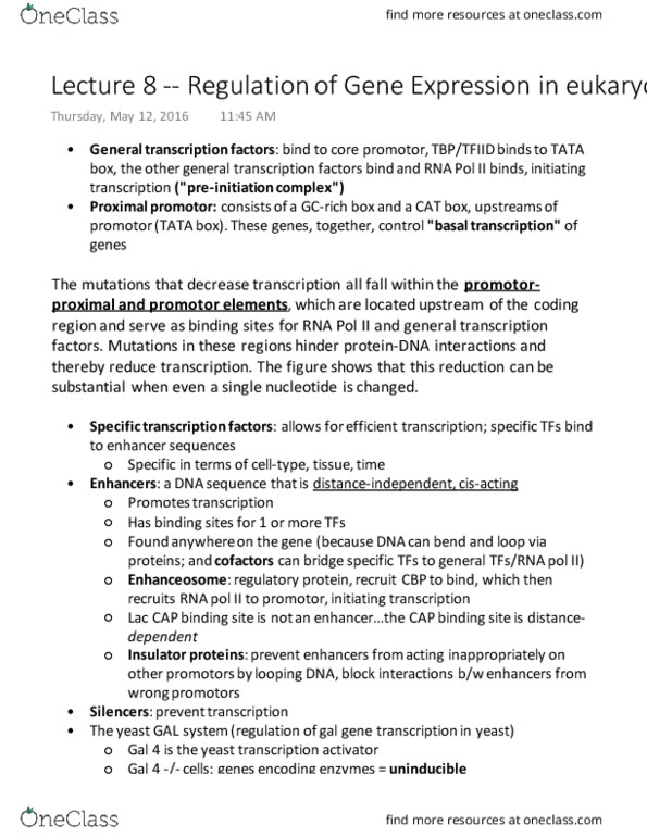 BIOL 202 Lecture Notes - Lecture 8: Tata Box, Transcription Factor Ii D, Tata-Binding Protein thumbnail