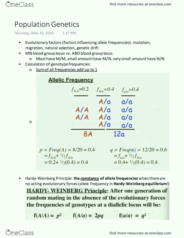 BIOL 202 Lecture Notes - Lecture 12: Cystic Fibrosis, Inbreeding Depression, Population Genetics thumbnail