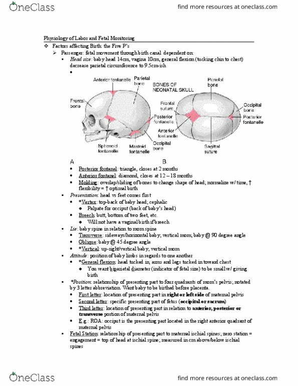 NURS3244 Lecture Notes - Lecture 7: Tachycardia, Placental Abruption, Bradycardia thumbnail