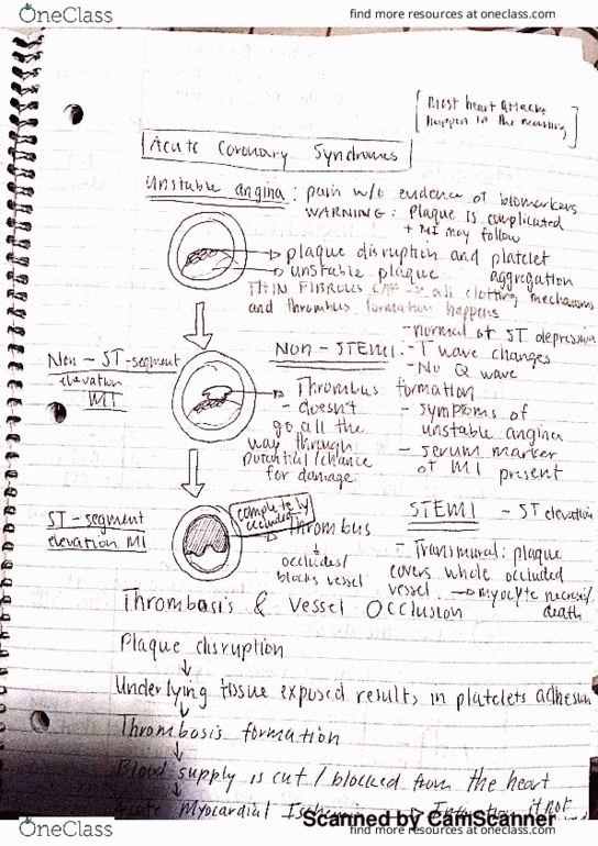 NURS2080 Lecture 5: Patho - Cardiovascular thumbnail