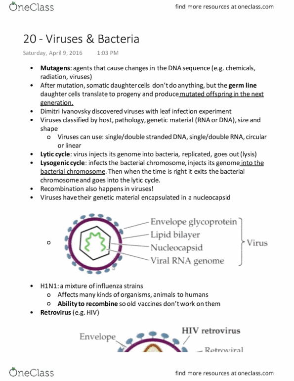 BIOL 112 Lecture Notes - Lecture 20: Lytic Cycle, Lysogenic Cycle, Retrovirus thumbnail