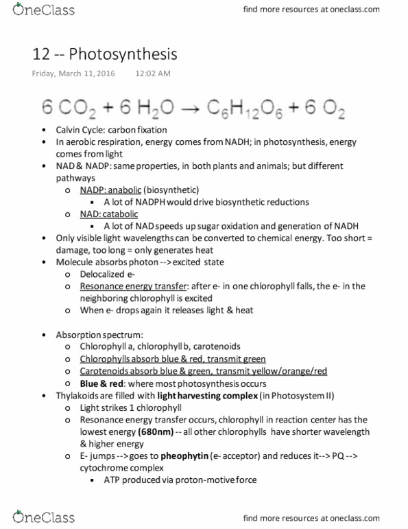 BIOL 112 Lecture Notes - Lecture 12: Photosystem Ii, Chlorophyll, Light-Independent Reactions thumbnail