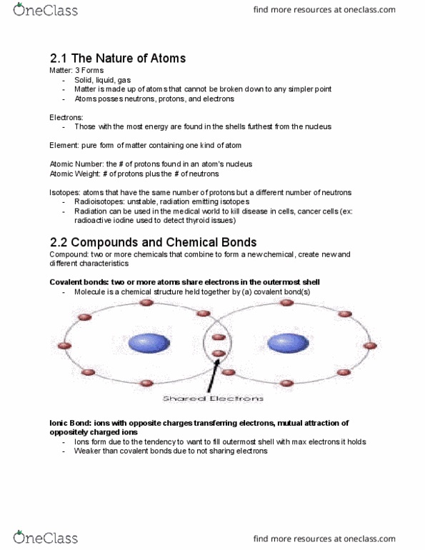BIOL-1030 Chapter Notes - Chapter 2: Hydrolysis, Mitochondrion, Endocytosis thumbnail