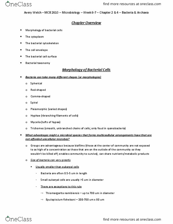 MCB 2610 Chapter Notes - Chapter 2 & 4: Thiomargarita, Mycoplasma, Bacterial Taxonomy thumbnail
