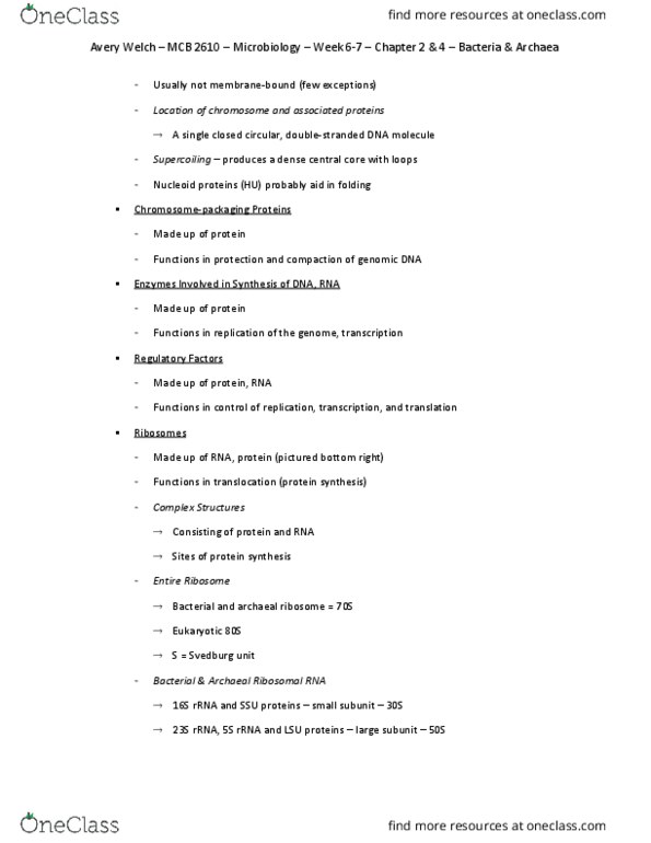 MCB 2610 Chapter Notes - Chapter 2 & 4: Drug Resistance, Prokaryotic Small Ribosomal Subunit, Prokaryotic Large Ribosomal Subunit thumbnail