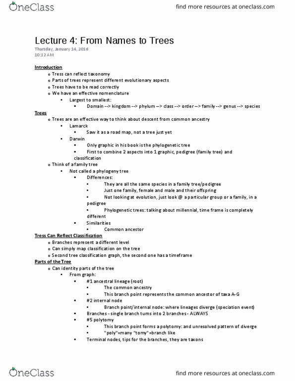 BIO153H5 Lecture Notes - Lecture 4: Polytomy thumbnail