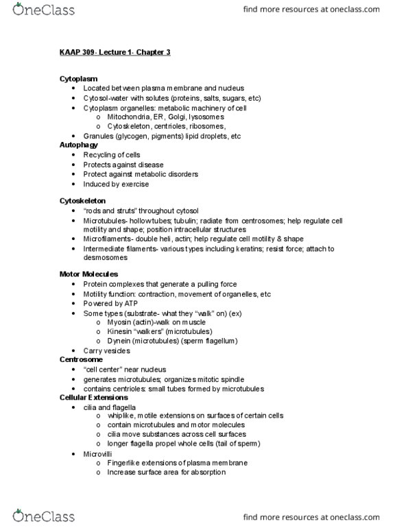 KAAP309 Lecture Notes - Lecture 2: Hepatocyte, Microvillus, Metaphase thumbnail