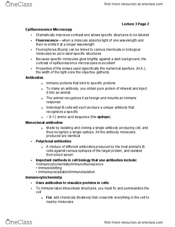 MCB 2210 Lecture Notes - Lecture 3: Immunocytochemistry, Polyclonal Antibodies, Immunofluorescence thumbnail