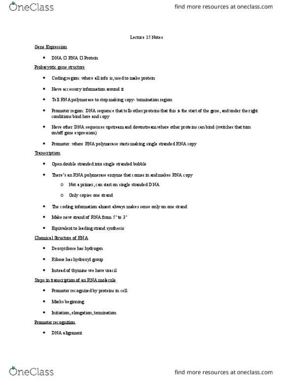 BIOL 2301 Lecture Notes - Lecture 15: Insulin Receptor, Polyadenylation, Exon thumbnail