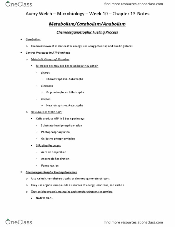 MCB 2610 Chapter Notes - Chapter 13: Electron Transport Chain, Oxidative Phosphorylation, Photophosphorylation thumbnail