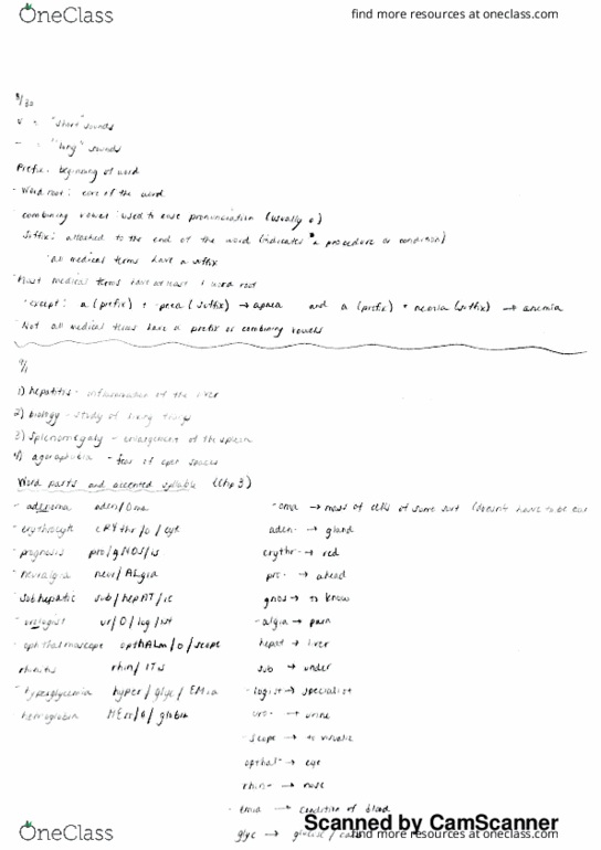 MEDT200 Lecture 1: Chapter 1 and 3 notes Med Terms thumbnail