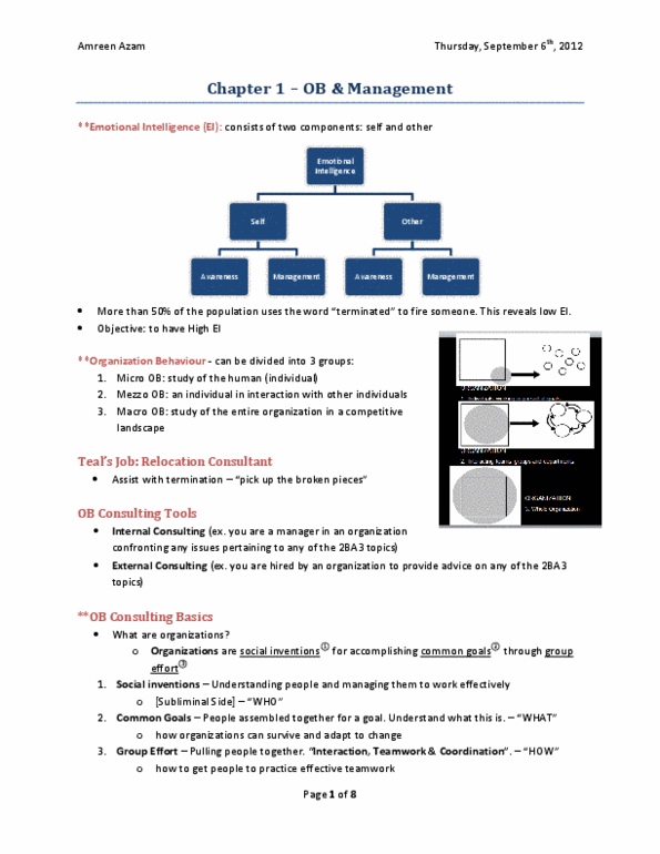 COMMERCE 1BA3 Chapter Notes - Chapter 1: Human Relations Movement, Elton Mayo, Hawthorne Effect thumbnail