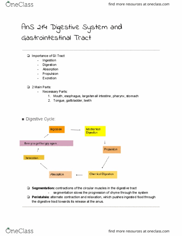 AN S 214 Lecture Notes - Lecture 2: Bicarbonate, Esophagus, Histamine thumbnail