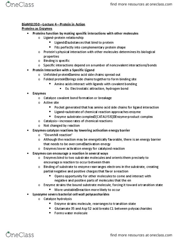 BIOMG 1350 Lecture Notes - Lecture 4: Phosphatase, Guanine, Methylation thumbnail