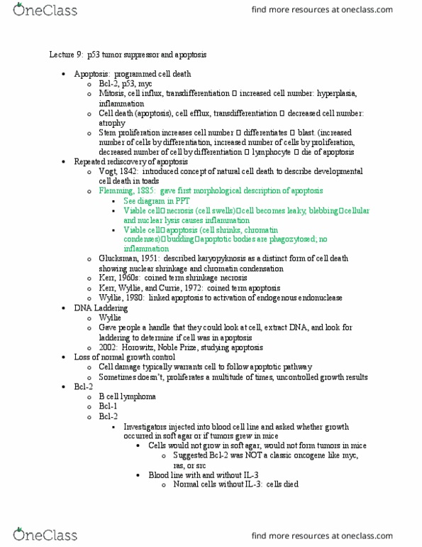 BIOS 15115 Lecture Notes - Lecture 9: Endonuclease, Oncogene, Interleukin 3 thumbnail