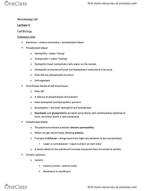 BIOL 134 Lecture Notes - Lecture 5: Gram-Positive Bacteria, Passive Transport, Gram-Negative Bacteria thumbnail