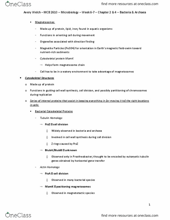 MCB 2610 Chapter Notes - Chapter 2 & 4: Magnetosome, Lipid Bilayer, Transfer Rna thumbnail