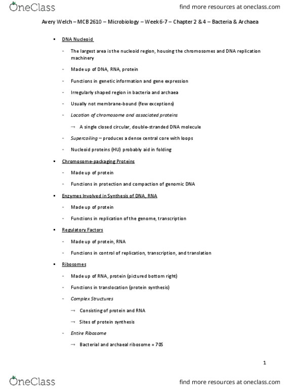 MCB 2610 Chapter Notes - Chapter 2 & 4: Plasmid, Drug Resistance, Prokaryotic Large Ribosomal Subunit thumbnail