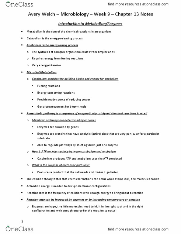 MCB 2610 Chapter Notes - Chapter 13: Microbiology, Collision Theory, Catabolism thumbnail