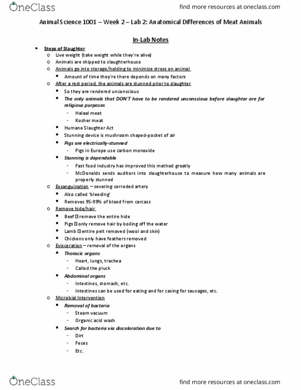 ANSC 1001 Lecture Notes - Lecture 3: Proventriculus, Cecum, Rumen thumbnail