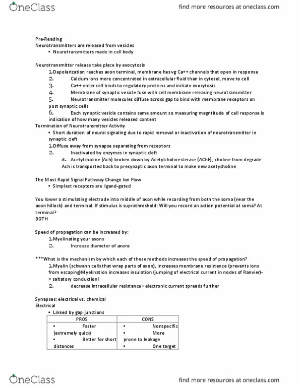 BIPN 100 Lecture Notes - Lecture 3: Choline, Sensory System, Schwann Cell thumbnail