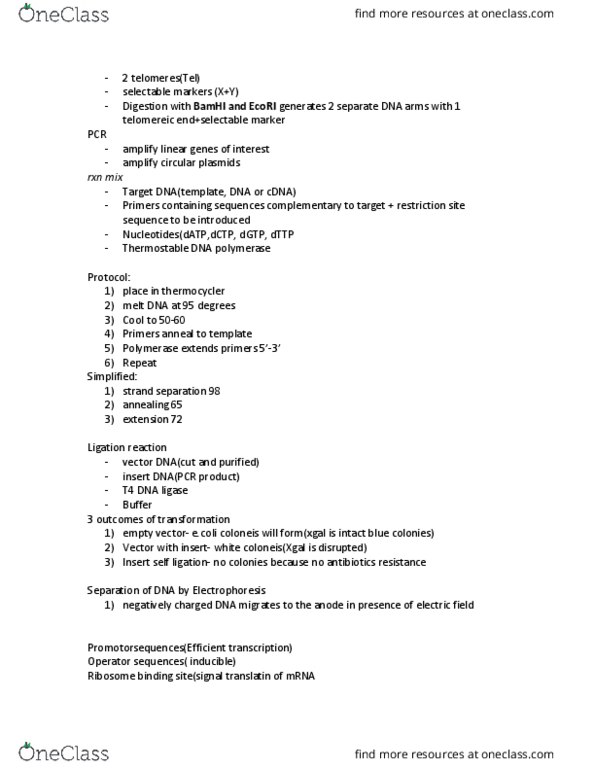 BIOS 452 Lecture Notes - Lecture 23: Digestion, Hydrophile, Ribozyme thumbnail