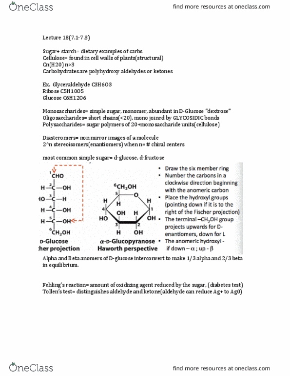 BIOS 452 Lecture Notes - Lecture 19: Glycosidic Bond, Lactose Intolerance, Reducing Sugar thumbnail