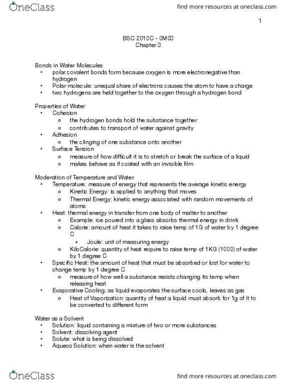 BSC 2010C Chapter 3: BSC 2010C Chapter 3 thumbnail