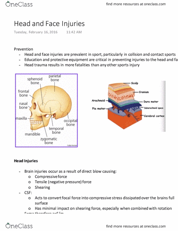 Kinesiology 2236A/B Lecture 9: Lecture 9 thumbnail