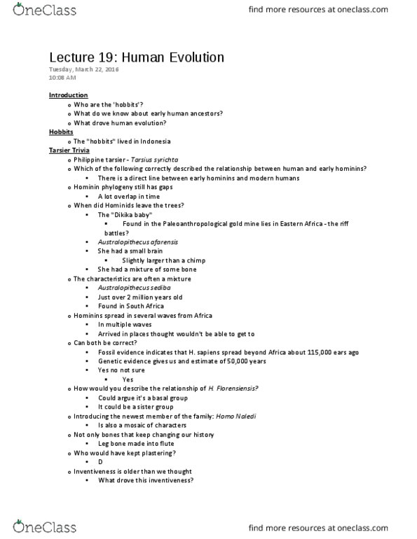 BIO153H5 Lecture Notes - Lecture 19: Tarsius, Australopithecus, Homo Naledi thumbnail