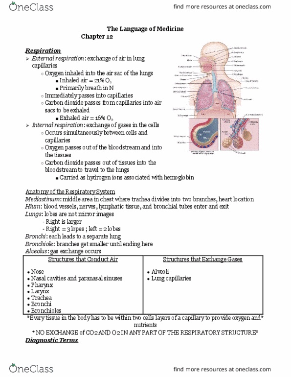 MEDT200 Lecture Notes - Lecture 12: Paranasal Sinuses, Amniotic Fluid, Umbilical Cord thumbnail