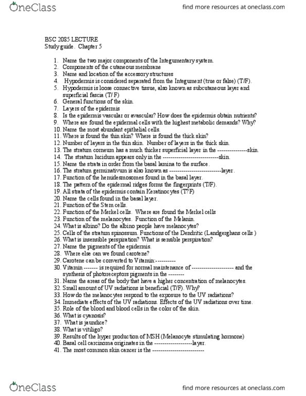 BSC 1085C Chapter Notes - Chapter 5: Stratum Basale, Stratum Corneum, Fascia thumbnail