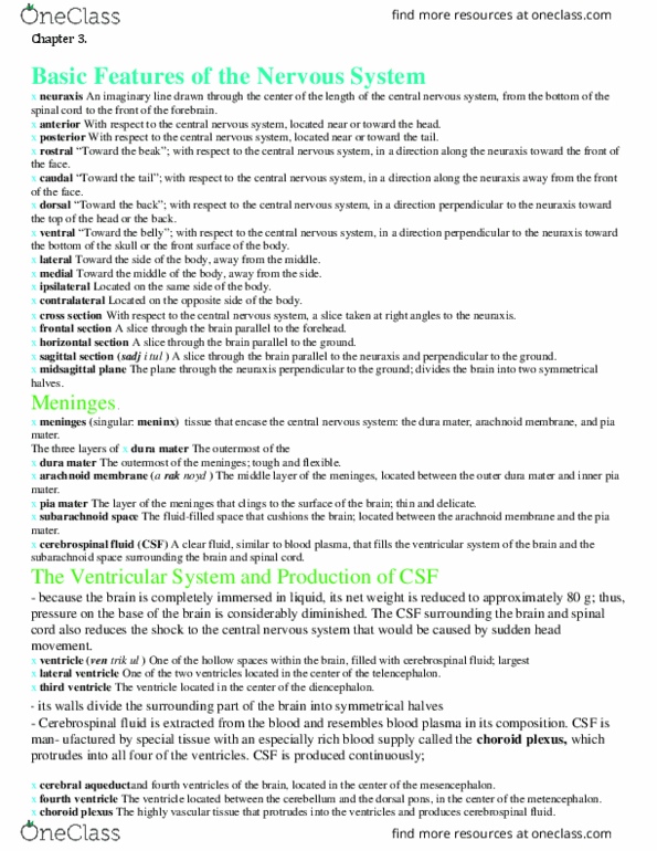 PSYC 211 Chapter Notes - Chapter 3: Dura Mater, Superior Sagittal Sinus, Pia Mater thumbnail