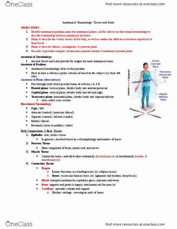 Anatomy and Cell Biology 2221 Lecture Notes - Lecture 1: Anatomical Terminology, Synovial Joint, Anatomical Plane thumbnail
