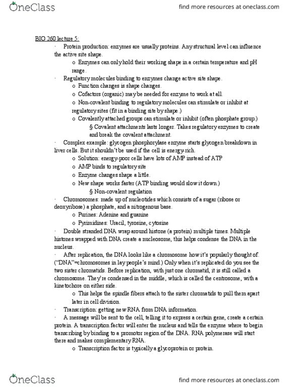 BIOL 260 Lecture Notes - Lecture 5: Glycogen Phosphorylase, Sister Chromatids, Structural Level thumbnail