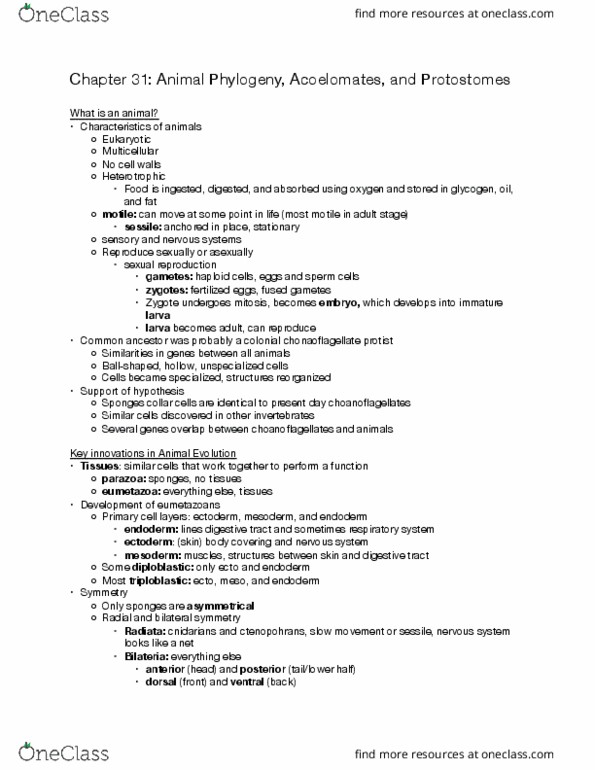 BIOL BC 1500x Chapter Notes - Chapter 31.1-31.3: Symmetry In Biology, Body Cavity, Parazoa thumbnail