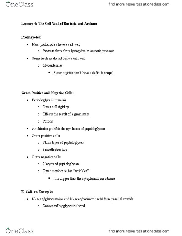 MMG 301 Lecture Notes - Lecture 4: Teichoic Acid, Gram Staining, Lipoteichoic Acid thumbnail