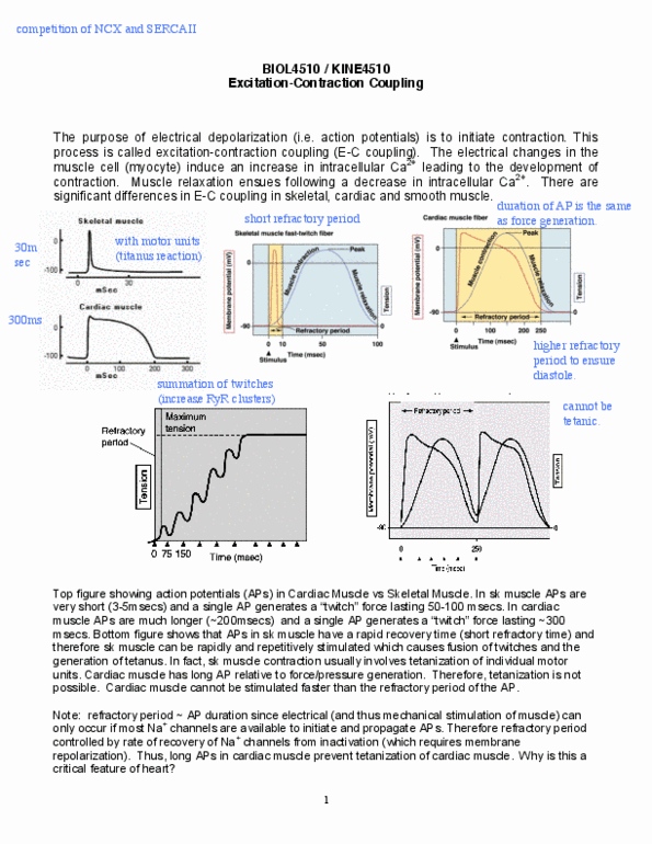 document preview image