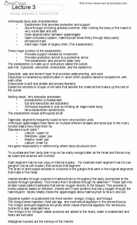 ENTO 210 Lecture Notes - Lecture 3: Arthropod Cuticle, Hox Gene, Hemolymph thumbnail