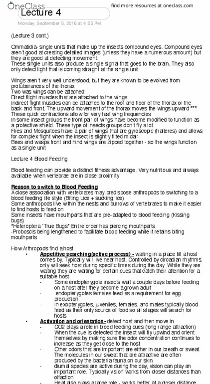 ENTO 210 Lecture Notes - Lecture 4: Sucking Louse, Heteroptera, Circadian Rhythm thumbnail