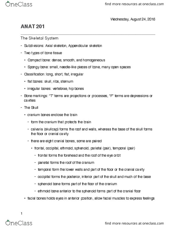 ANAT 201 Lecture Notes - Lecture 2: Sphenoid Bone, Ethmoid Bone, Axial Skeleton thumbnail