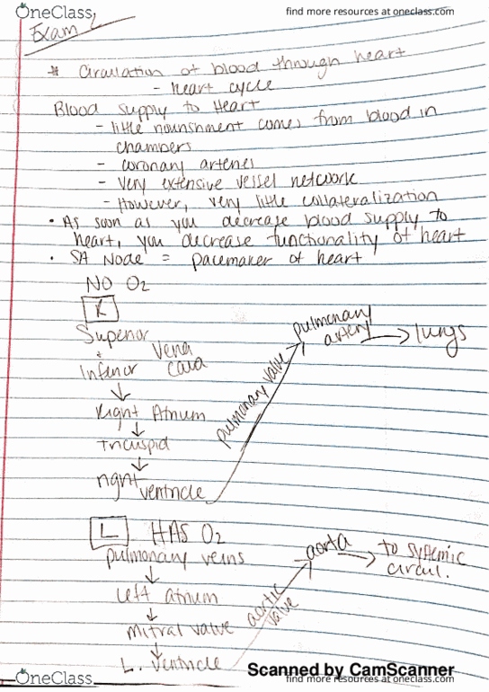 HPER-P - Health, Physical Education And Recreation HPER-P 409 Lecture 5: cardiac unit thumbnail