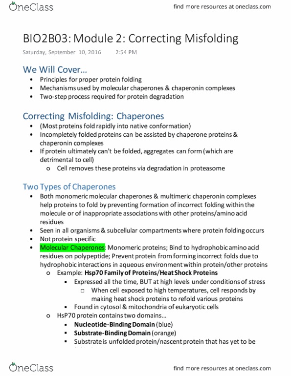 BIOLOGY 2B03 Lecture Notes - Lecture 2: Groes, Groel, Protein Folding thumbnail