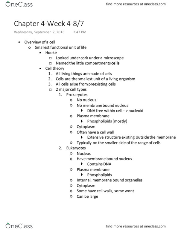 BIOL 2051 Lecture Notes - Lecture 4: Cell Membrane, Nucleoid, Cell Theory thumbnail