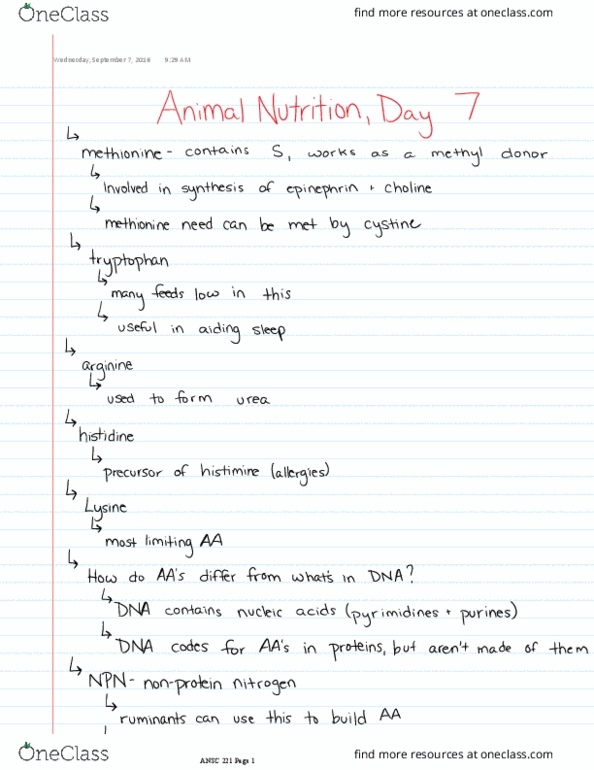 ANSC 22100 Lecture 7: Essential Amino Acids and Intro to Vitamins thumbnail